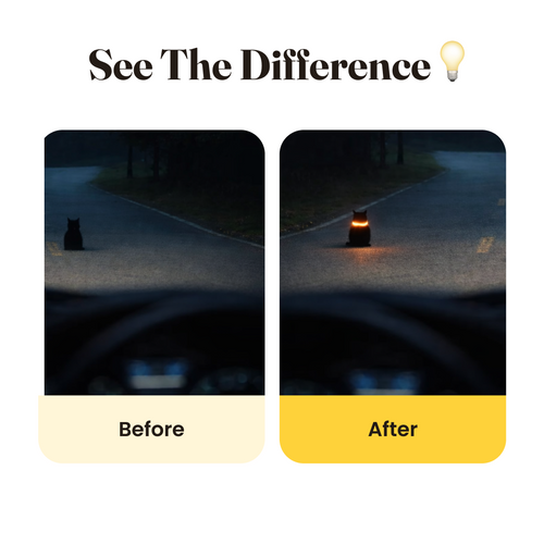 LifeLight Cat Collar